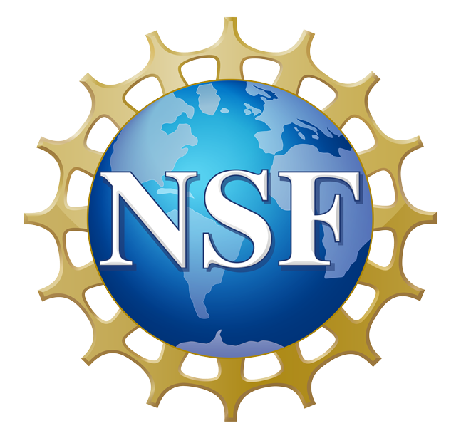 logo NSF